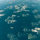 Illustration for article titled Impressive video of a massive dolphin stampede (and whales too!)